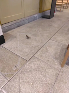 迷子ですか…？