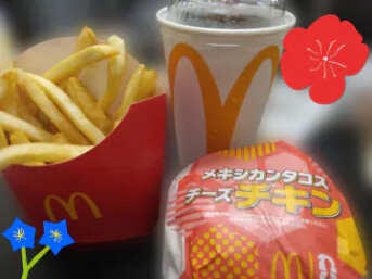 肴は炙ったイカに七味マヨでいい