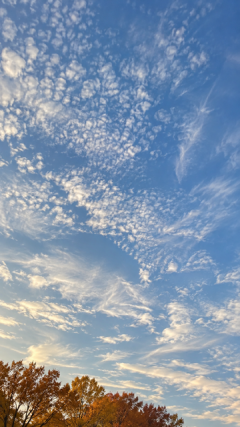 秋の空を見上げて